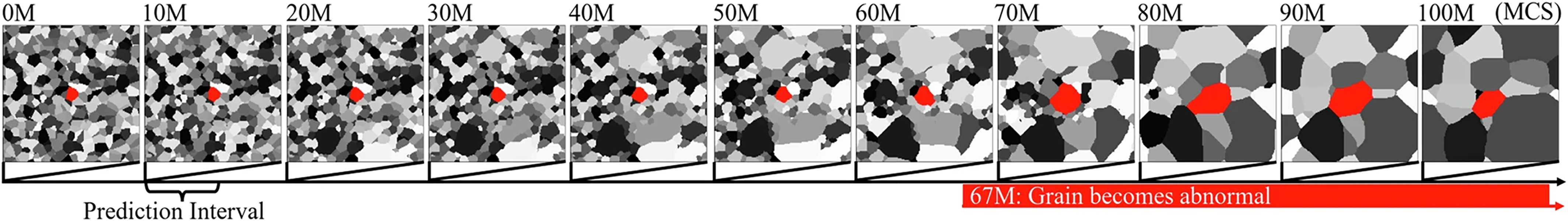 Lehigh Abnormal Grain Growth Simulation